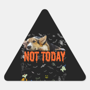 Corgi Gift   Not Today-Cute Corgi Lover Ugly Hallo Triangle Sticker