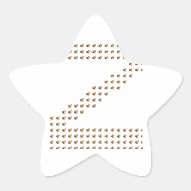 Corgi Hiking Adventure Z Pattern Star Sticker (Front)