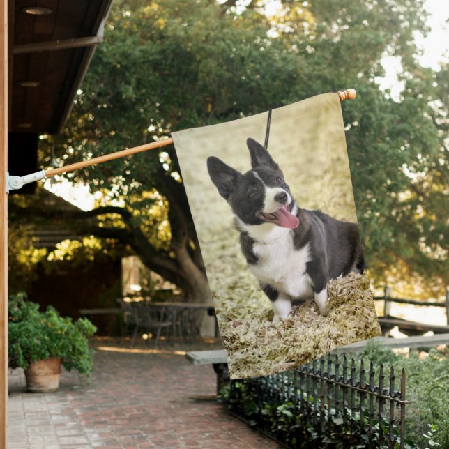 Corgi House Flag (In SItu)