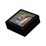 Corgi Jewelry Box