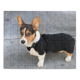 Corgi! Jigsaw Puzzle