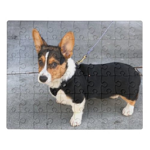 Corgi Jigsaw Puzzle