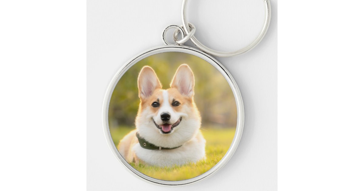 corgi plush keychain