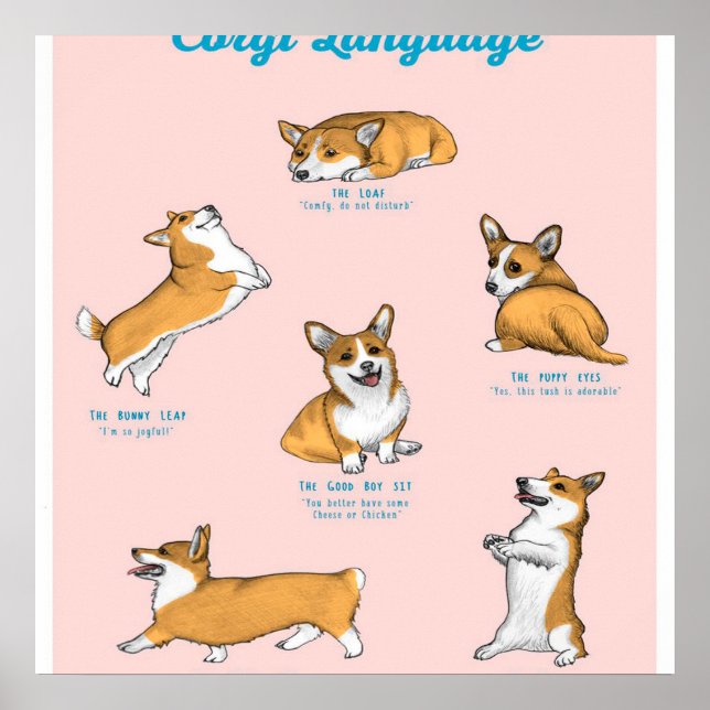 Corgi Language Print (Front)