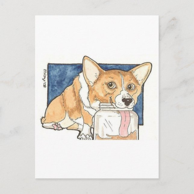 Corgi licking the Peanut Butter Jar Postcard (Front)