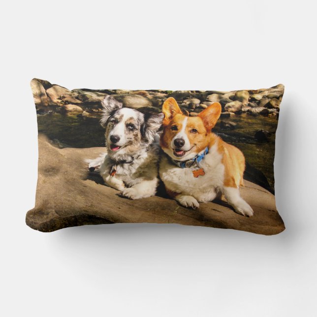 Corgi Lovers Lumbar Pillow (Front)