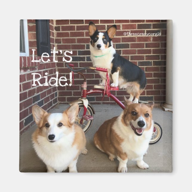 Corgi Magnet (Front)