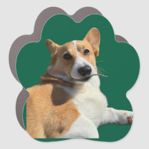 Corgi Magnet