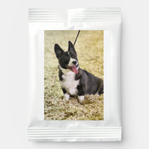 Corgi Margarita Drink Mix