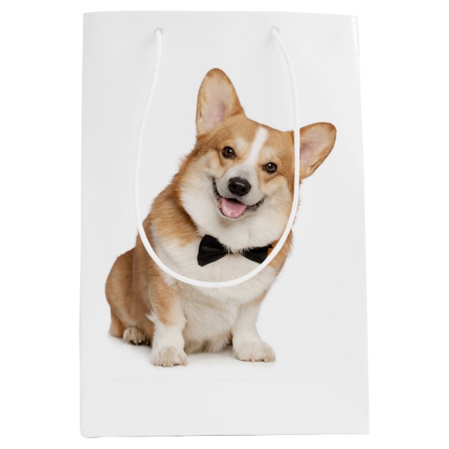 Corgi Medium Gift Bag (Front)