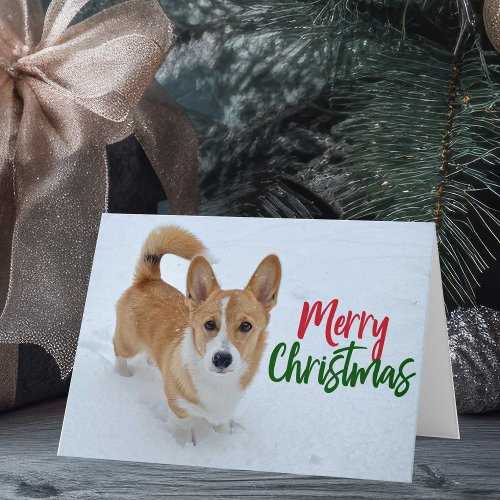 Corgi Merry Christmas Dog in Snow Photo Holiday Card