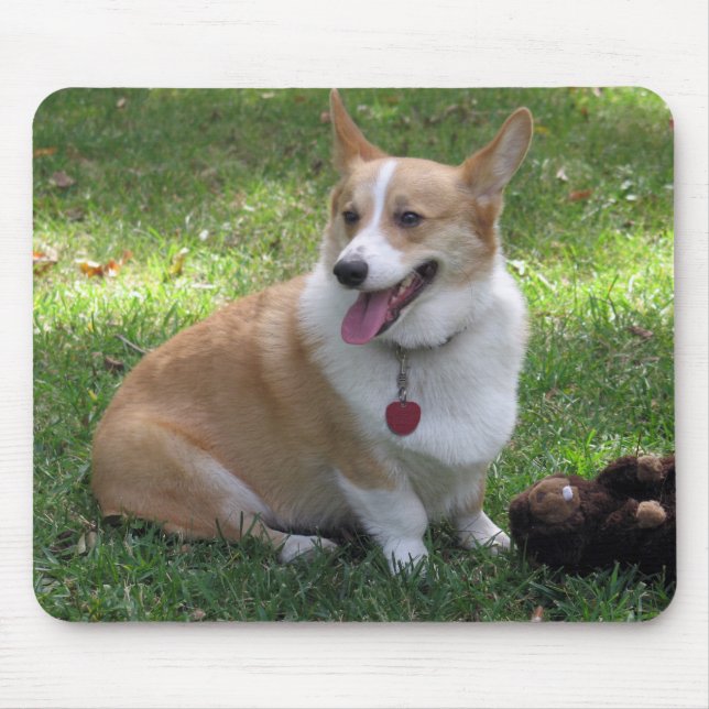 Corgi Mousepad (Front)
