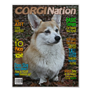 Corgi Nation Magazine (Customizable Print) Photo Print