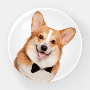 corgi desk accessories