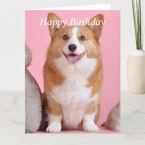 Corgi Pembroke dog beautiful custom birthday card