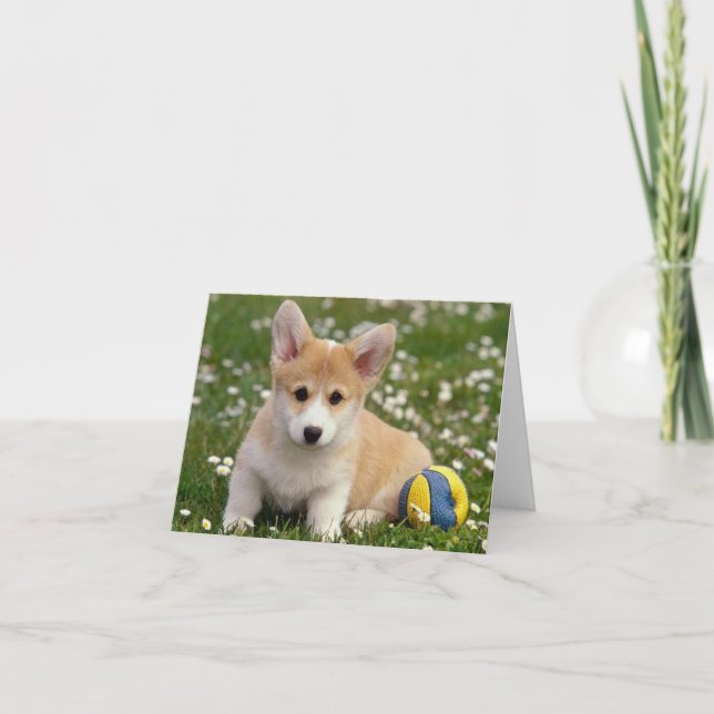 Corgi (Pembroke Welsh) Puppy Dog Note Card (Front)