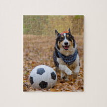 Corgi Playing Soccer
