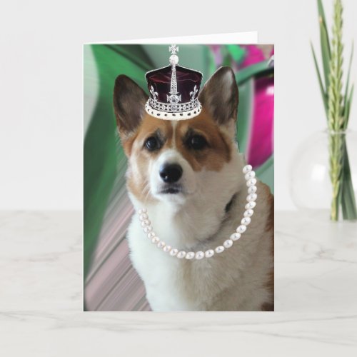 corgi princess card