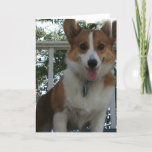 Corgi Puppy Dog Greeting Card