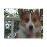 Corgi Puppy Dog Postcard