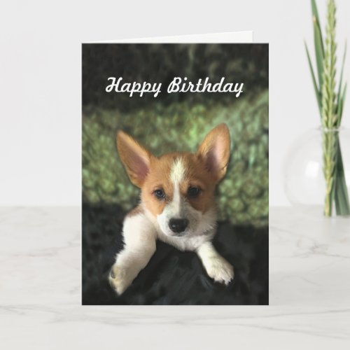 Corgi Puppy Happy Birthday Card