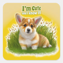 Corgi puppy on the grass | cute pet