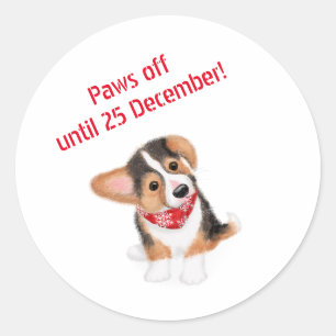 Corgi puppy 'paws off until 25 Dec' stickers