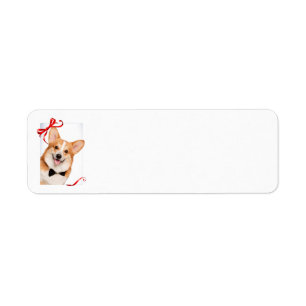 Corgi Return Address Labels
