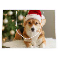 https://rlv.zcache.com/corgi_santa_large_gift_bag-rc4b7710b5b824b01988787039ac83399_zk3by_200.webp?rlvnet=1