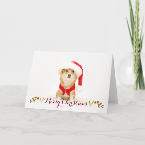 Corgi Santa Paws Christmas Card  DaysieMeetsWorld