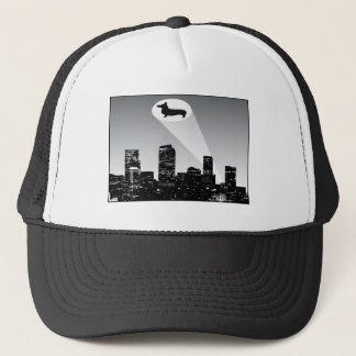 Corgi Signal Hat