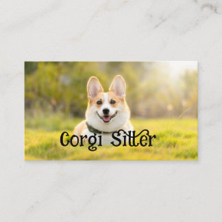 corgi sitter business card