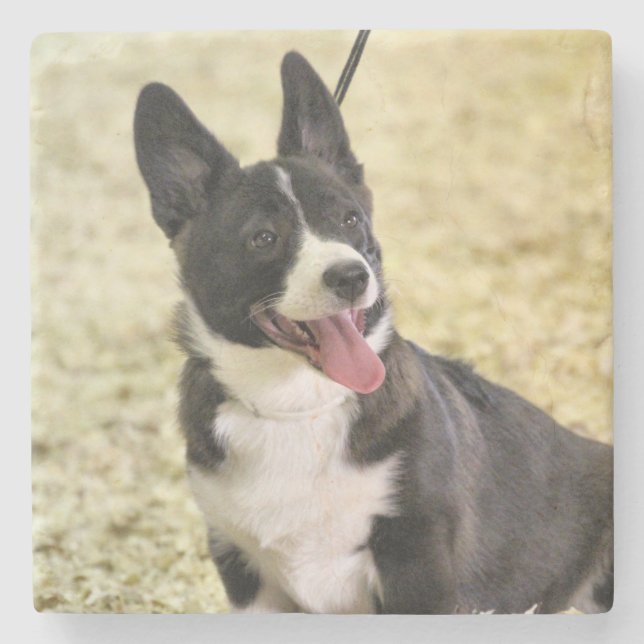 Corgi Stone Coaster (Front)