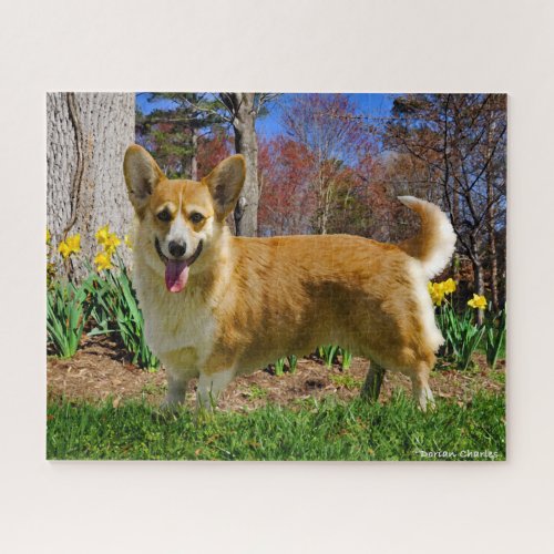 Corgi Time Jigsaw Puzzle