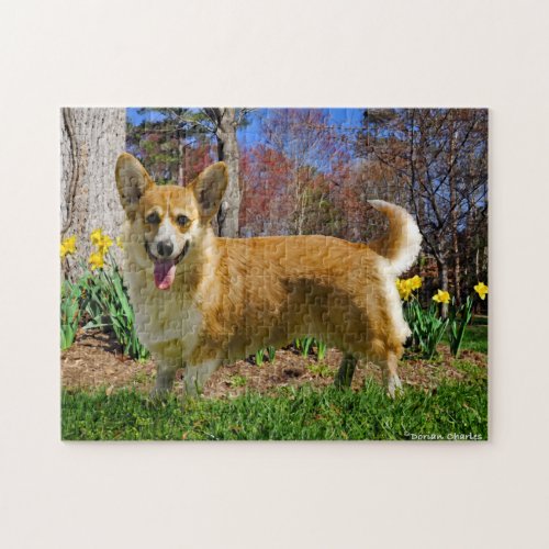 Corgi Time Puzzle