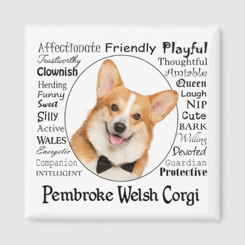 Corgi Traits Magnet