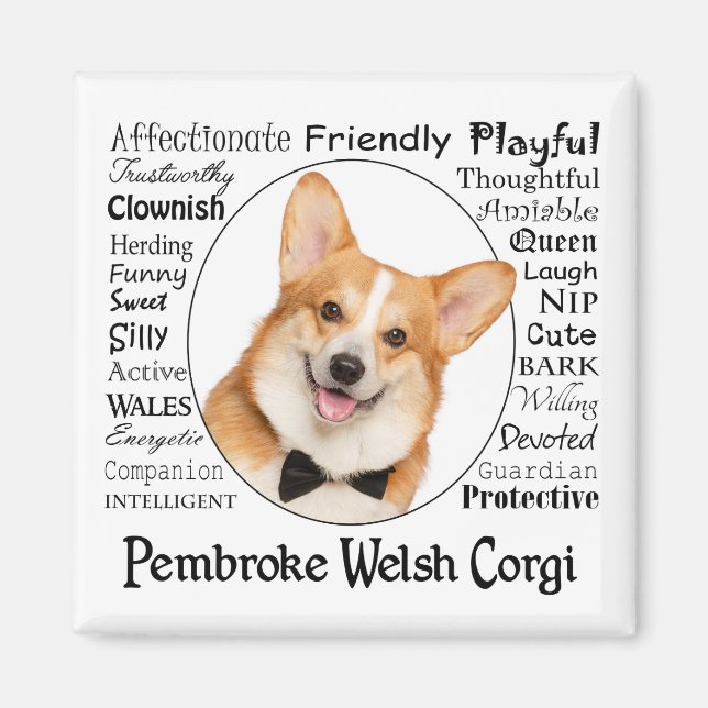 Corgi Traits Magnet (Front)