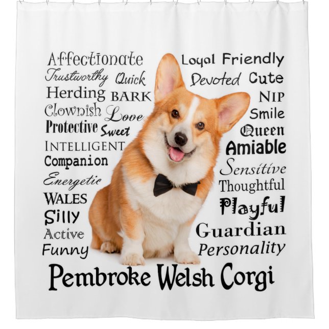 Corgi Traits Shower Curtain (Front)