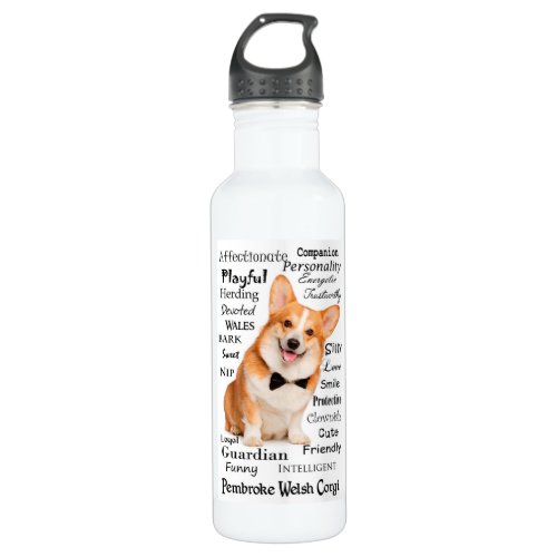 Corgi Traits Stainless Steel Water Bottle