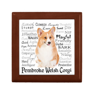 Corgi Traits Tile Box