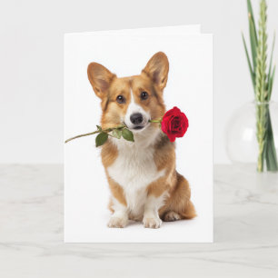 Corgi Valentine – Big Love with Short Legs Card