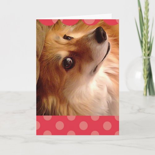 Corgi Valentine with pink and red border Holiday Card