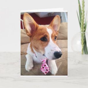 Corgi Valentine's Day Card