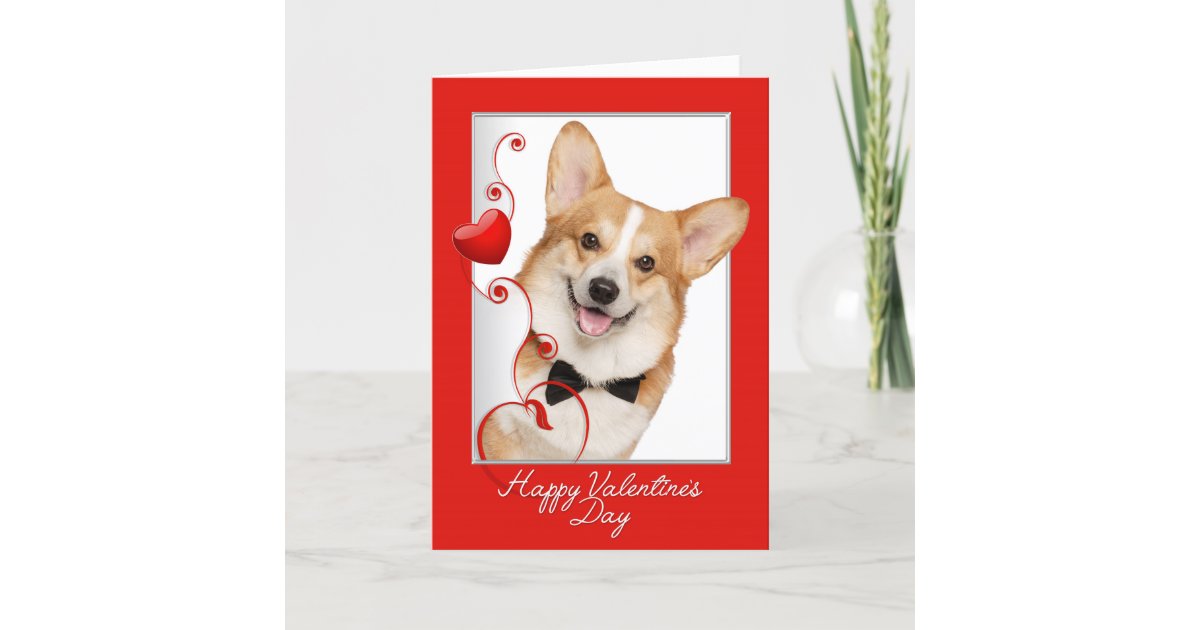 corgi-valentine-s-day-card-zazzle