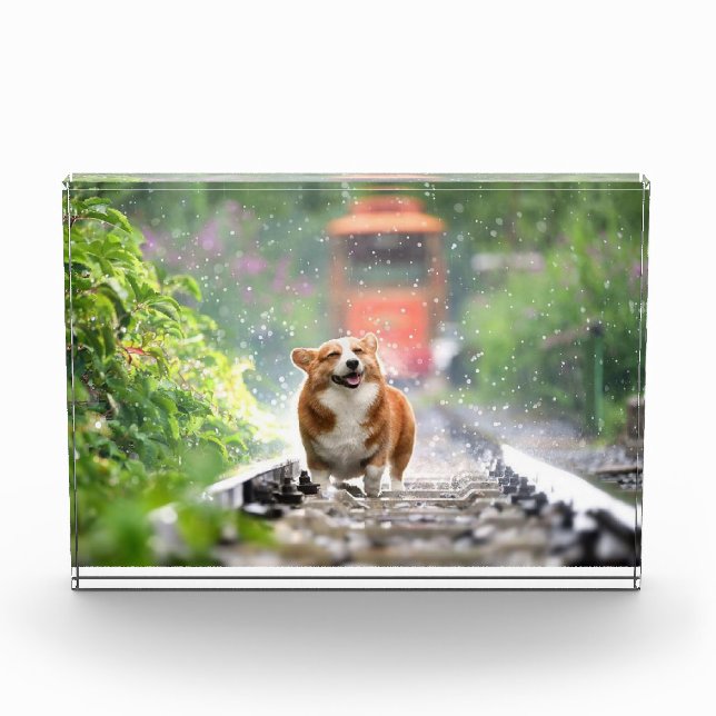 Corgi walking on train tracks photo block (Front)