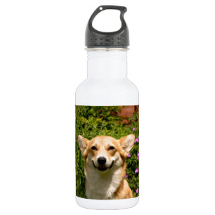 CORGi Water Bottle