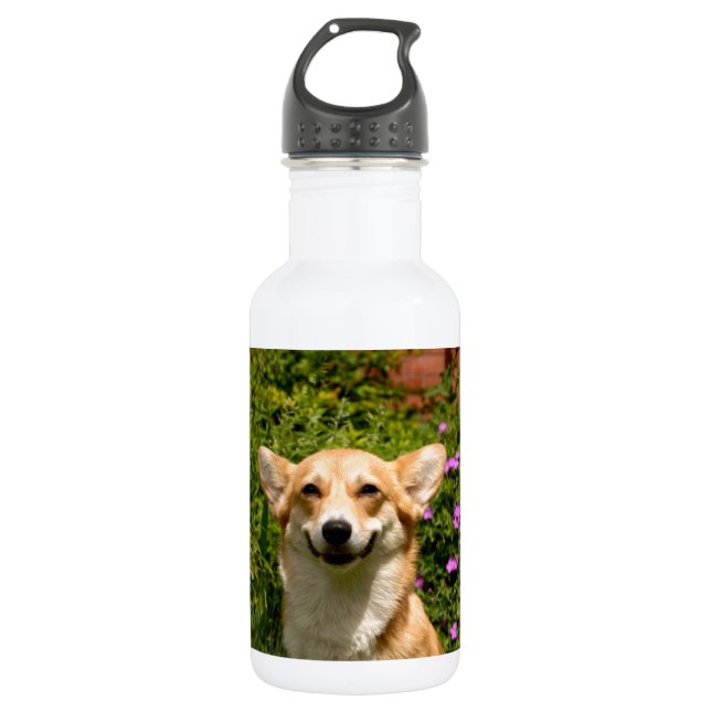 CORGi Water Bottle (Front)