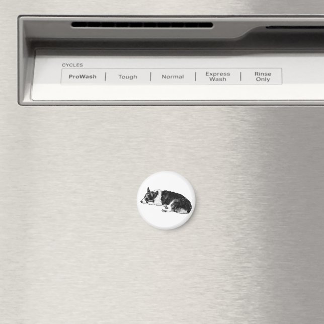 Corgi with Composed Expression Magnet (In Situ (Dishwasher))