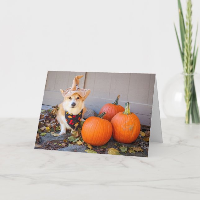 Corgi with Pumpkin Thanksgiving card (Front)