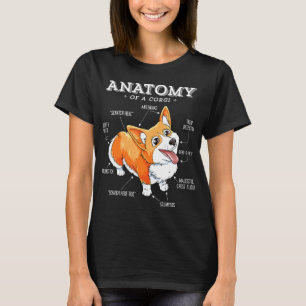 Corgi Women Kids Men Anatomy Of A Corgi Girls Boy T-Shirt